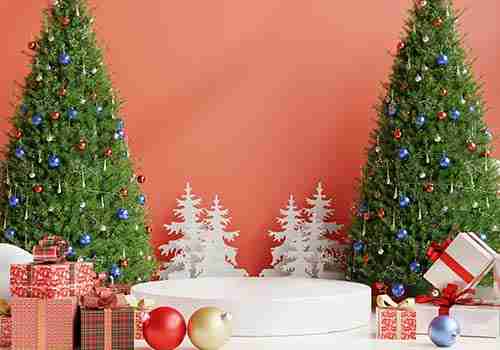 Fiesta Navidad