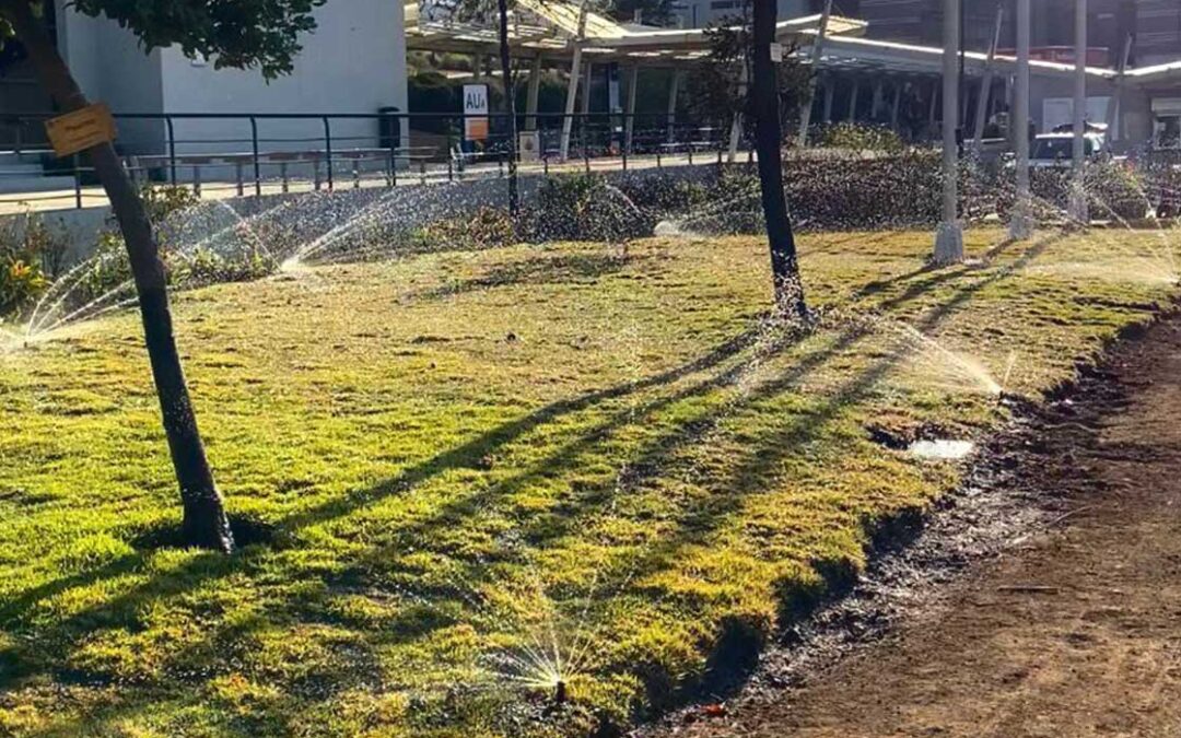 La PUCV avanza hacia la eficiencia hídrica con riego tecnificado en Campus Curauma