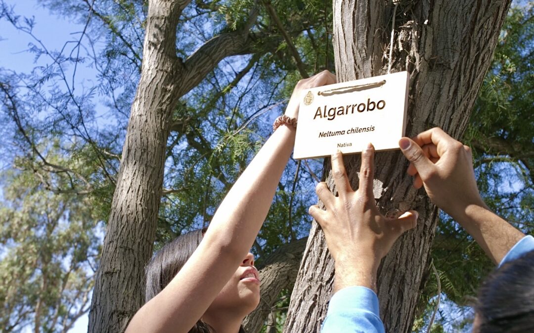 Estudiantes de Agronomía de la PUCV lideran exitosa campaña de biodiversidad