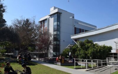 Descartan presencia de plaga de roedores en Campus Sausalito